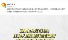 娱乐圈吃瓜微信号是什么,揭秘明星幕后故事